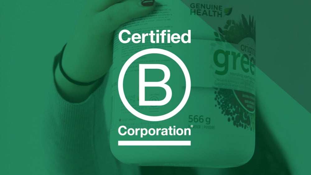 What is a B Corp?