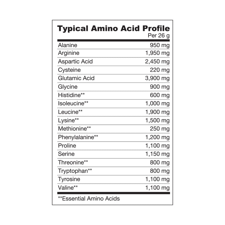 fermented organic vegan protein | unflavored