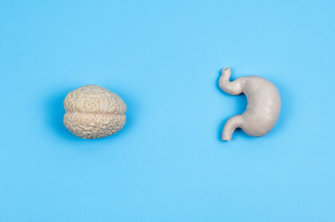 The Best Ways to Support a Healthy Gut-Brain Connection
