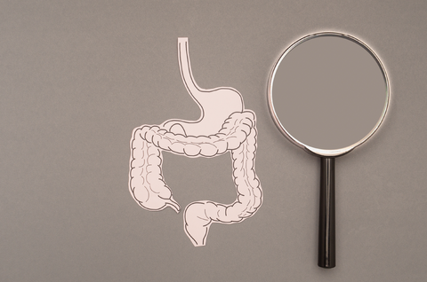 Symptoms & Consequences of a Leaky Gut