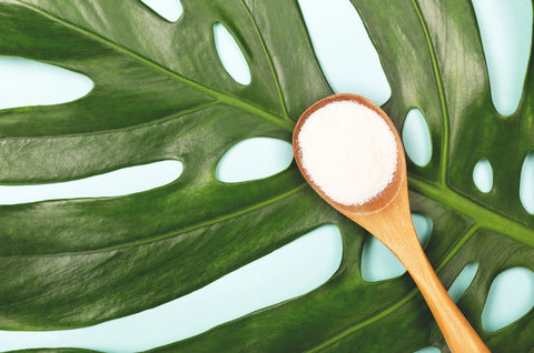 The Science Behind How Collagen Works