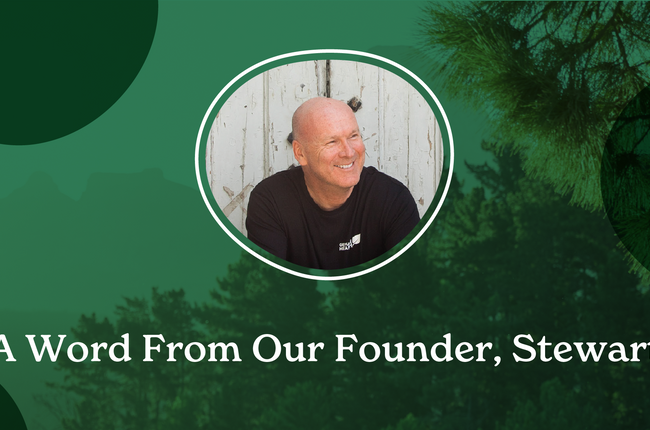 Supplements Everyone Needs to Thrive