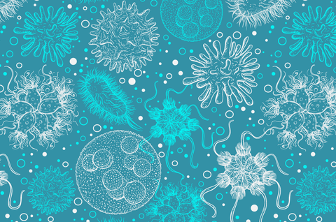 Fermented Foods - Realizing Your Food’s Nutrient Potential!