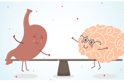 Gut Feelings: The Gut – Brain Connection