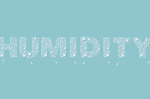 Will Humidity Damage My Probiotics?