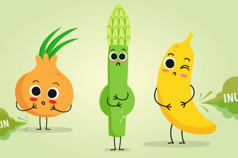 Inulin – What is it?