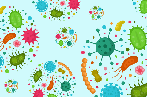 Why Do Some Manufacturers Use Coded Strains in Their Probiotics While Others Don't?