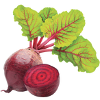 Organic Beet