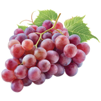 Organic Grape