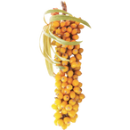Organic Sea Buckthorn