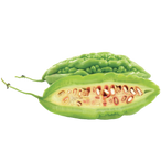 Organic Bitter Melon