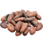 Organic Fermented Cocoa Seed